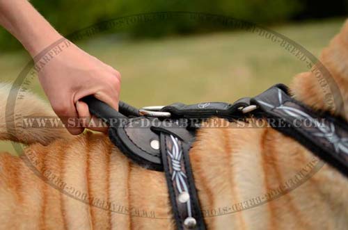 Strong Leather Shar Pei Breed Harness Comfortable in Use
