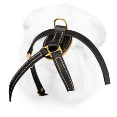 Shar Pei Breed Leather Dog Harness for Puppies