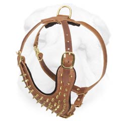 Quality Walking Leather Dog Harness with Brass Spikes for Shar Pei