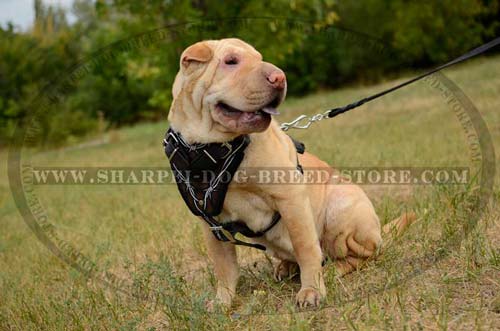 Durable Leather Dog Harness for Attack/Protection Training and Walking