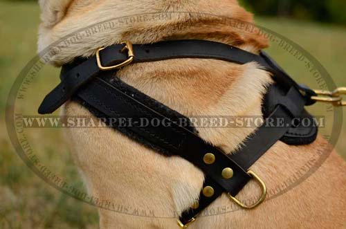 Strong Dog Harness for Pulling and Tracking