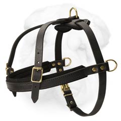 Light Weight Shar Pei Breed Harness Great for Pulling and Tracking
