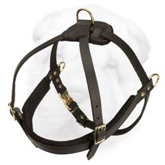 Dog Harness Made of Leather Designed for Pulling and Tracking Work