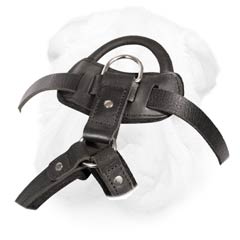 Shar Pei Breed Harness for Agitation Training Made of Leather