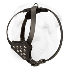 Studded Shar-Pei Puppy Harness with D ring