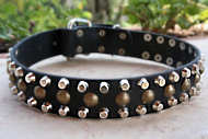 Shar Pei 3 Rows Leather Dog Collar & Pyramids &Studs - great dog collar