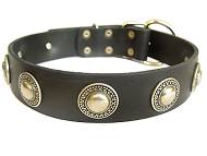 Shar Pei Leather Dog Collar with silver conchos- C73 Shar Pei Leather Dog Collar with silver conchos- C73