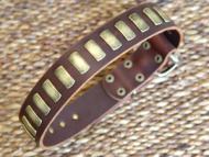 Shar Pei Gorgeous Wide Leather Dog Collar With Plates