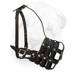 Light Weight Leather Muzzle for Everyday Walks