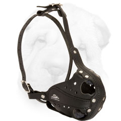 Leather Shar Pei Muzzle Equipped with Nickel Plated Buckles