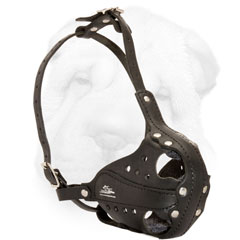 Leather Shar Pei Muzzle Equipped with Nose Padding
