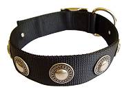 Shar Pei Nylon Dog collar with silver conchos