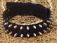 Shar Pei Black Nylon Spiked Dog Collar- 2 Rows of spikes for all dogs
