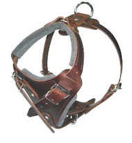 Shar Pei Leather Dog Harness-handmade dog harness