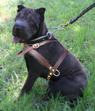 Shar pei Tracking/Pulling Leather Dog Harness for all breeds