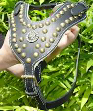 Shar Pei Royal Dog Harness - Exclusive Design Studded Leather Harness-H11