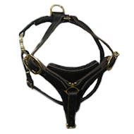 Shar Pei Tracking / Walking dog harness made of leather