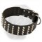 Shar Pei Leather Collar with Pyramids, Extra Wide