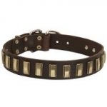 Stylish Shar Pei Collar with Slim Brass Plates