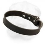 Plain Design Full Grain Leather 1 1/5 Inch Wide Collar for Shar Pei