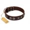 "Silver Sunset" Designer Handmade FDT Artisan Brown Leather Sharpei Collar