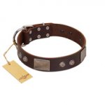 "Stone Stars" Stylish Handmade FDT Artisan Brown Leather Sharpei Collar