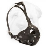 Genuine Leather Shar Pei Everyday Walking Muzzle