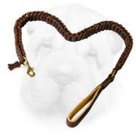 Braided Leather Leash for Shar Pei Walking