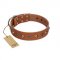 "Silver Age" Fashionable FDT Artisan Tan Leather Sharpei Collar with Silver-Like Studs
