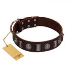 "Spiky Way" FDT Artisan Brown Leather Sharpei Collar with Silver-Like Decorations