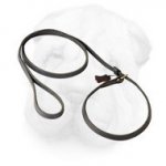 Genuine Leather Shar Pei Leash + Collar Combo