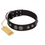 "Tricky Ricky" FDT Artisan Black Leather Sharpei Collar Adorned with Silver-Like Conchos