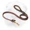 Braided Genuine Leather Leash for Shar Pei Activities