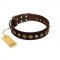 "Street Fashion" FDT Artisan Brown Leather Sharpei Collar Adorned with Circles and Skulls