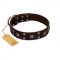"Bigwig Woof" FDT Artisan Brown Leather Sharpei Collar with Chrome Plated Stars and Square Studs