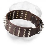 Wide Leather Shar Pei Collar with Spikes and Pyramids