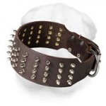 Extra Wide Shar Pei Collar with Glittering Spikes