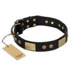 "Spanish night" FDT Artisan Fashionable Leather Walking Sharpei Collar