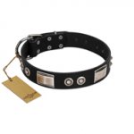 "Grand Wear" FDT Artisan Black Leather Sharpei Collar with Shining Plates and Spiked Studs