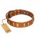 "Olive Slice" FDT Artisan Tan Leather Sharpei Collar with Engraved and Smooth Plates