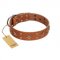 "Dreamy Gleam" FDT Artisan Tan Leather Sharpei Collar Adorned with Stars and Squares