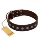 "Spring Flower" Stylish FDT Artisan Brown Leather Sharpei Collar for Comfy Walks