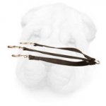 Nylon Shar Pei Puppy Triple Leash