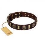 "Skull's Adventure" FDT Artisan Brown Leather Sharpei Collar with Plates and Ovals