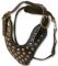 Two-Ply Latigo Dog Harness with Studs for Sharpei