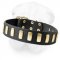 Gorgeous Wide Leather Dog Collar With Plates for Shar Pei
