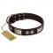 "Baller Status" FDT Artisan Brown Leather Sharpei Collar Adorned with a Set of Chrome Plated Studs and Plates