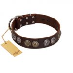 "Treasure Hunter" FDT Artisan Brown Leather Sharpei Collar with Old-Bronze-like and Silvery Medallions