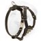 Leather Shar-Pei Harness for Active Puppies with D-ring and Quick Release Buckle