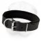 Padded Shar-Pei Collar for Agitation Training and Everyday Walking (Wide)